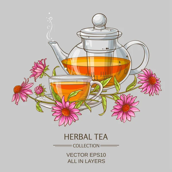 Tazza o echinacea tè e teiera — Vettoriale Stock