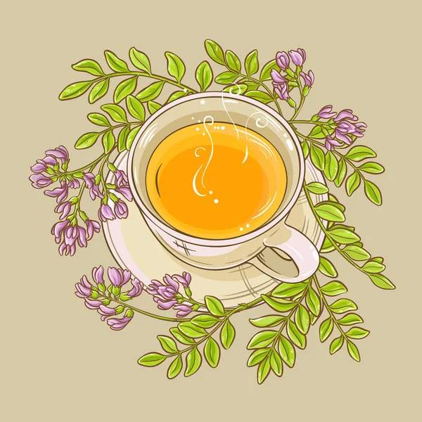 Astragalus thee illustratie — Stockvector