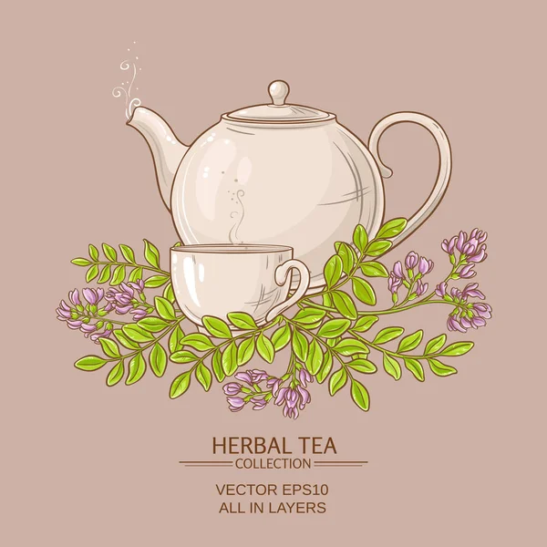 Illustrazione del tè astragalo — Vettoriale Stock