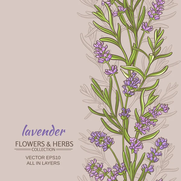 Lavendel Vektor Hintergrund — Stockvektor