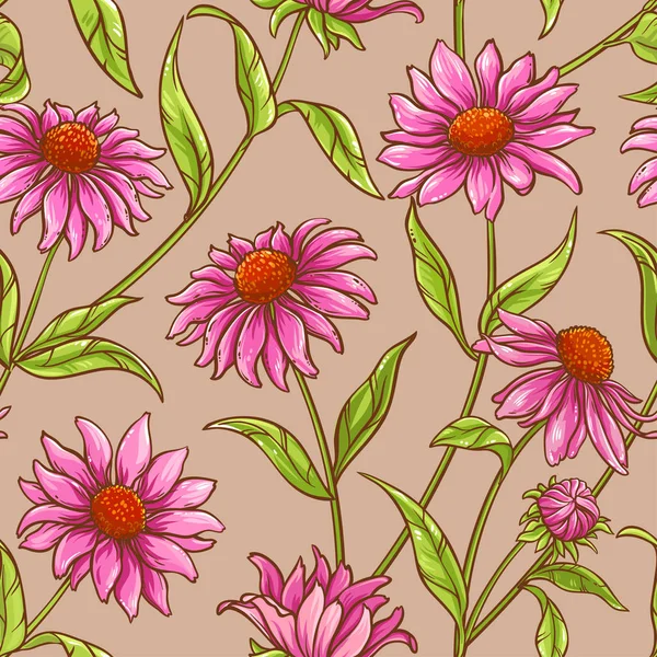 Echinacea purpurea patroon — Stockvector