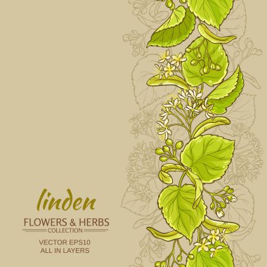 ıhlamur vektör arka plan