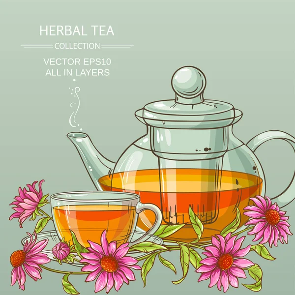 Çay Kupası veya echinacea ve çaydanlık — Stok Vektör