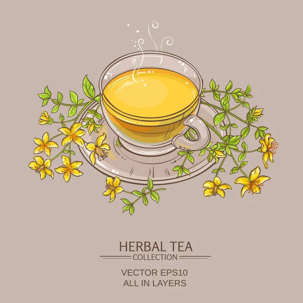 Tasse de tutsan vecteur de thé illustration — Image vectorielle