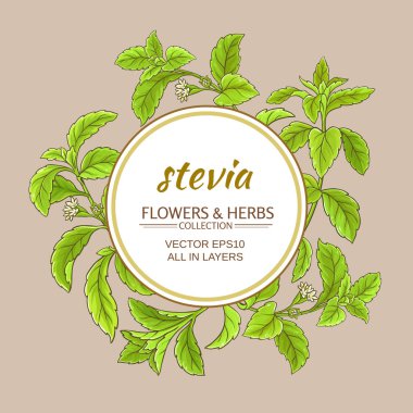 Stevia vektör çerçeve