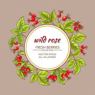 yabani gül vektör çerçeve