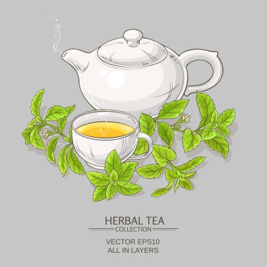 Stevia çay illüstrasyon