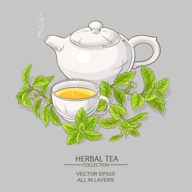 stevia tea illustration clipart