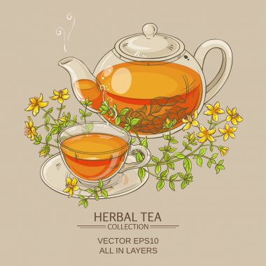 tutsan çay vektör çizim