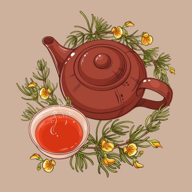 Rooibos çay illüstrasyon