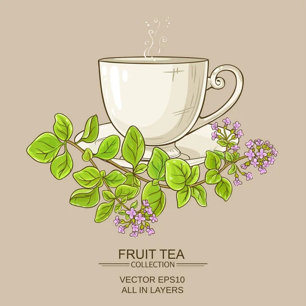 Xícara de chá de orégano — Vetor de Stock