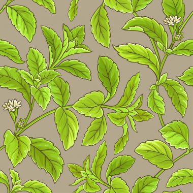 Stevia vektör desen