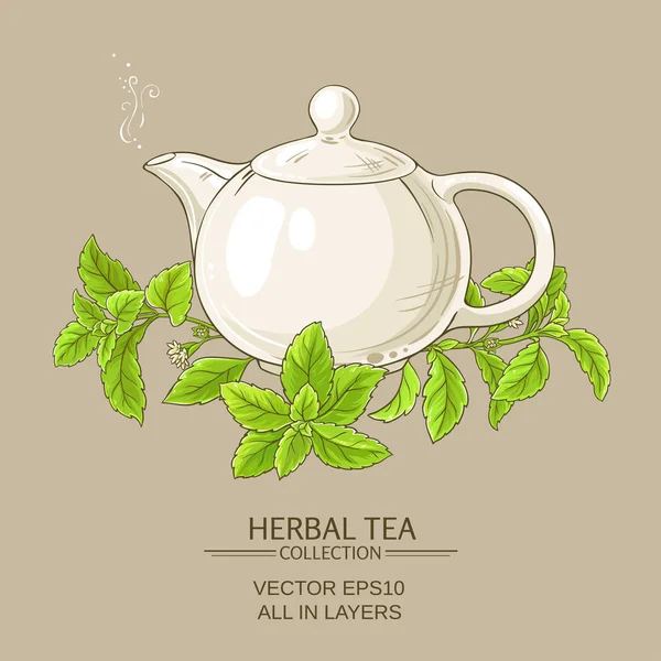 Stevia thee illustratie — Stockvector