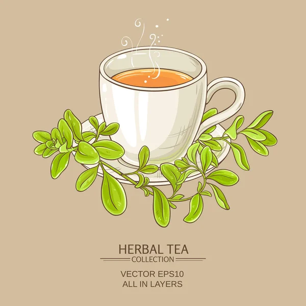 Taza de té de mejorana — Vector de stock