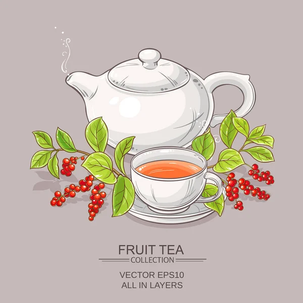 杯五味子茶和茶壶 — 图库矢量图片