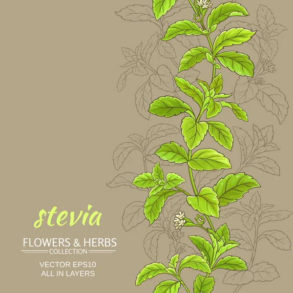 Stevia vector fondo — Vector de stock