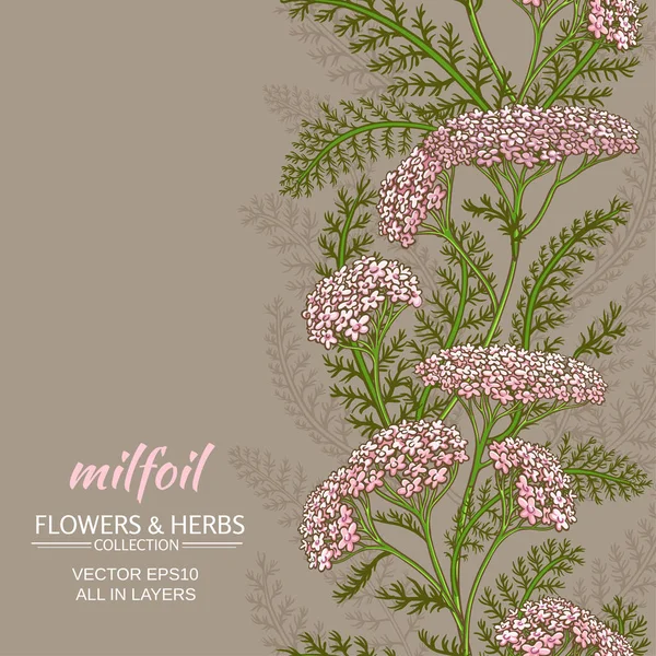 civanperçemi vektör arka plan