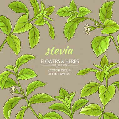 Stevia vektör çerçeve