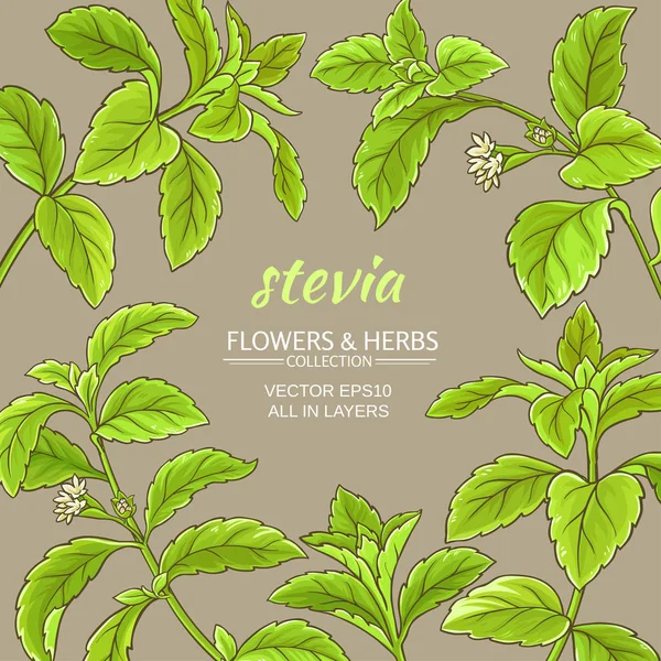 Stevia vektör çerçeve
