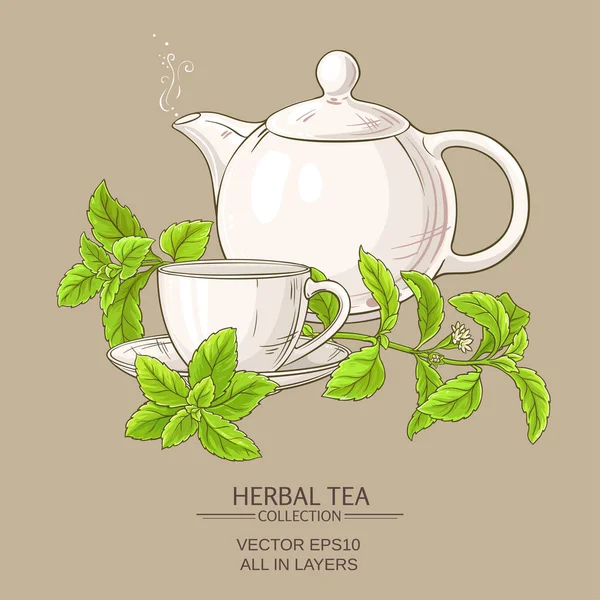 Stevia ilustración del té — Archivo Imágenes Vectoriales