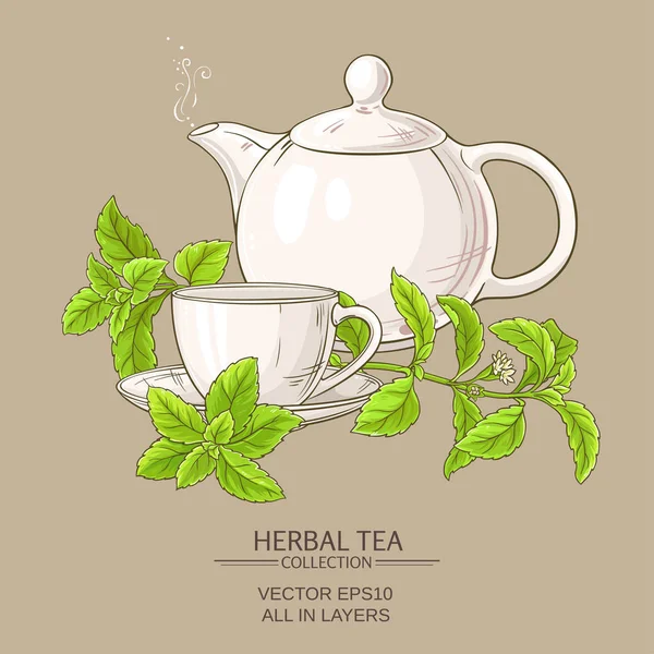Stevia çay illüstrasyon