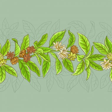 Anason vektör desen