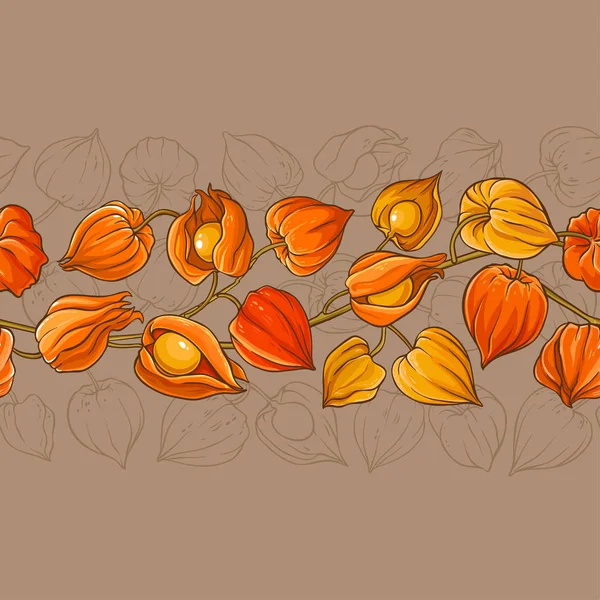 Patrón de vector physalis — Vector de stock