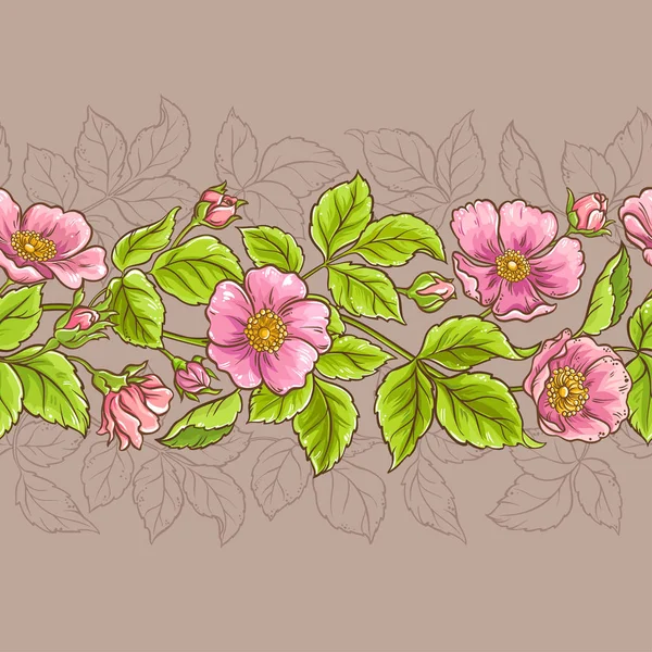 Flores de rosa silvestre patrón — Vector de stock
