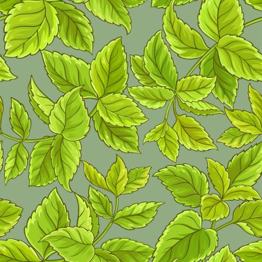 Melissa vektör desen