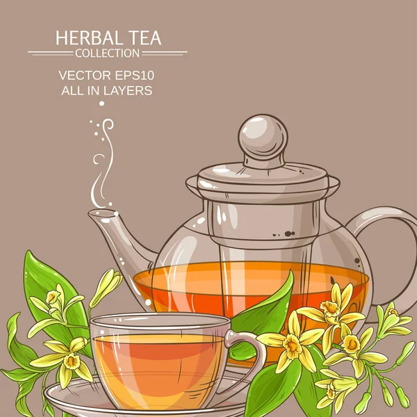 Vanilla tea illustration — Stock Vector
