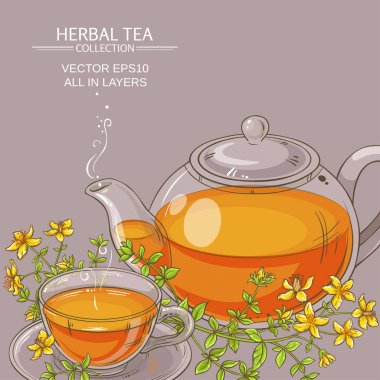 tutsan çay vektör çizim
