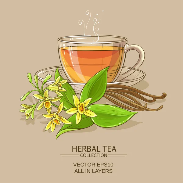 Иллюстрация ванильного чая — стоковый вектор