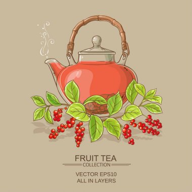 Schisandra çay illüstrasyon