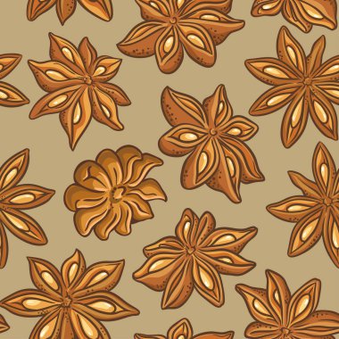 Anason vektör desen