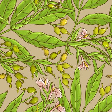 kakule vektör desen