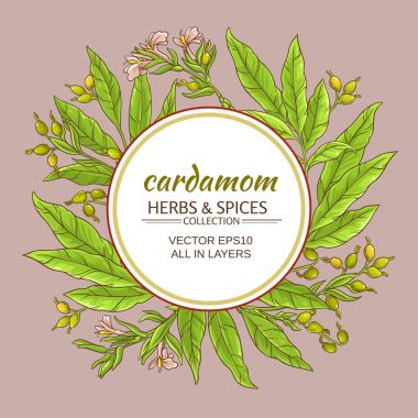 kakule vektör çerçeve