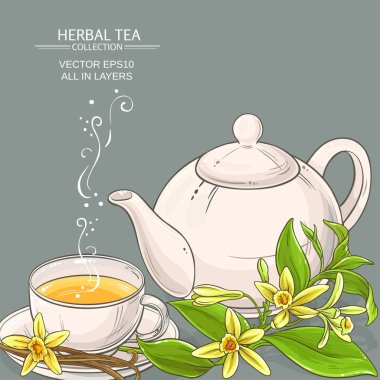 vanilya çay illüstrasyon