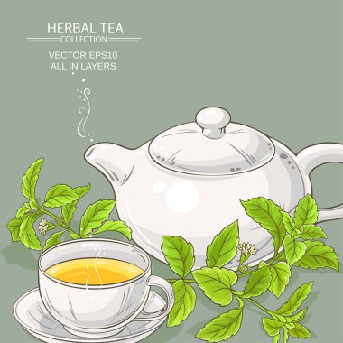 Stevia çay illüstrasyon