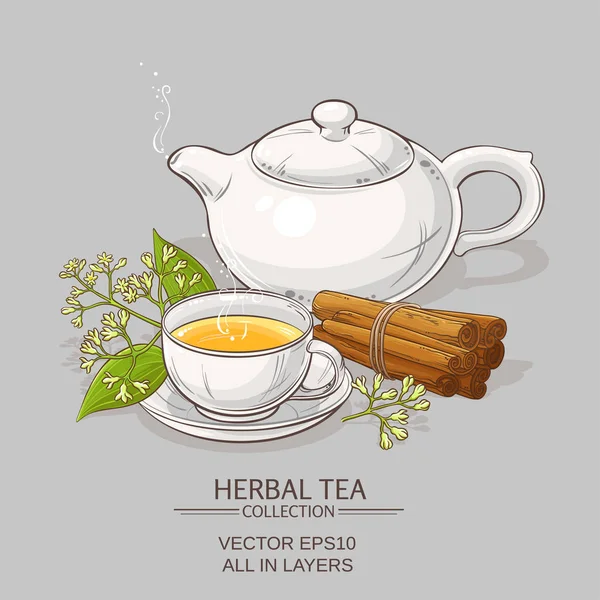 Ilustración de té de canela — Vector de stock