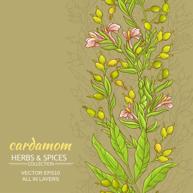 kakule vektör arka plan