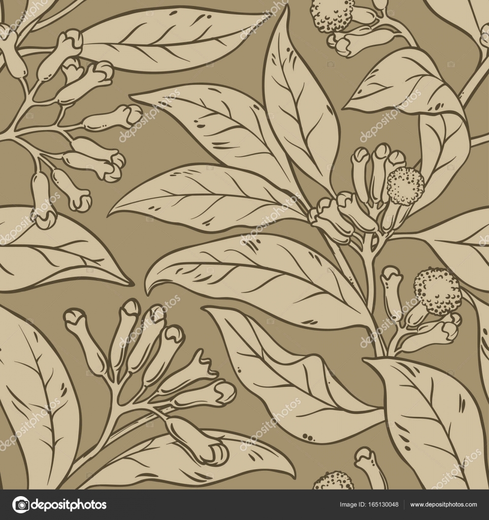 Clove vector pattern Stock Vector Image by ©cuttlefish84 #165130048