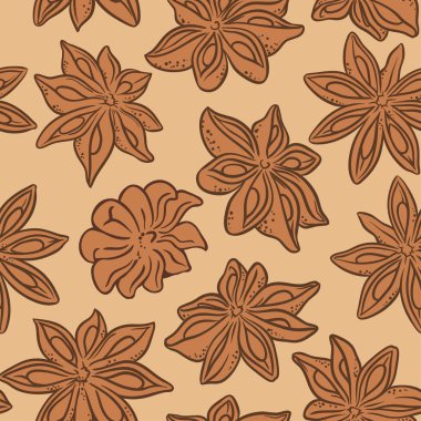 Anason vektör desen