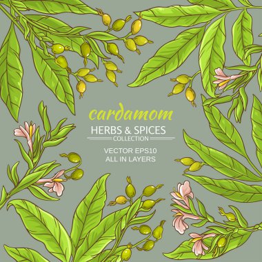 kakule vektör çerçeve