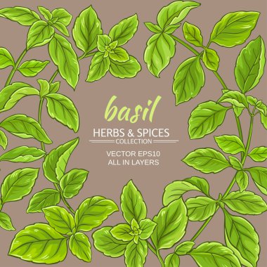 fesleğen vektör çerçeve