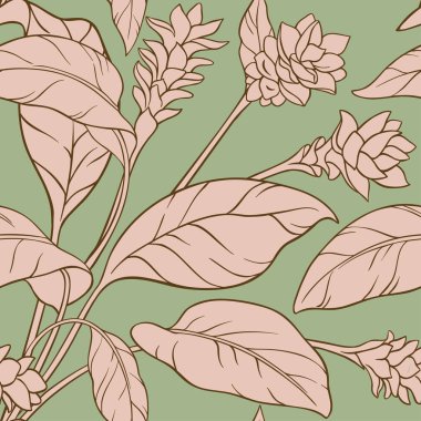 zerdeçal vektör desen