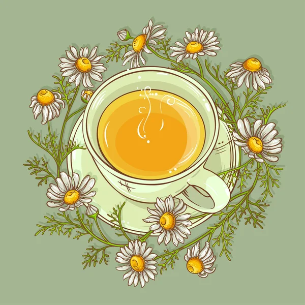 杯洋甘菊茶 — 图库矢量图片
