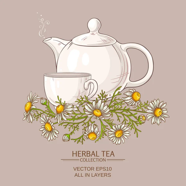 Ilustração de chá de camomila — Vetor de Stock