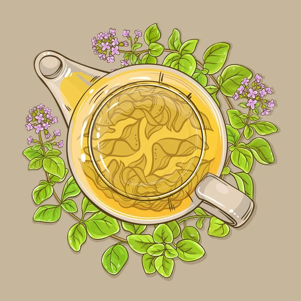 Oregano tea teáskanna — Stock Vector