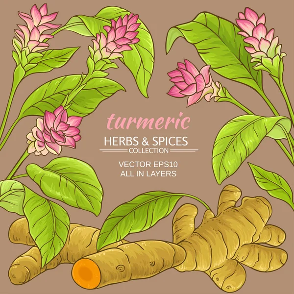 Turmeric vector frame — Stock Vector