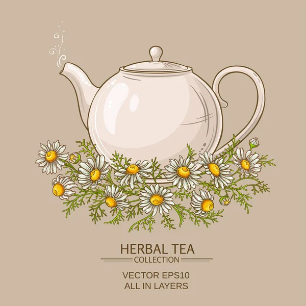 Chamomile tea illustration — Stock Vector